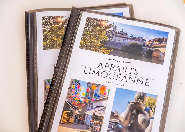 Limogeanne - Clim - Centre Historique Périgueux